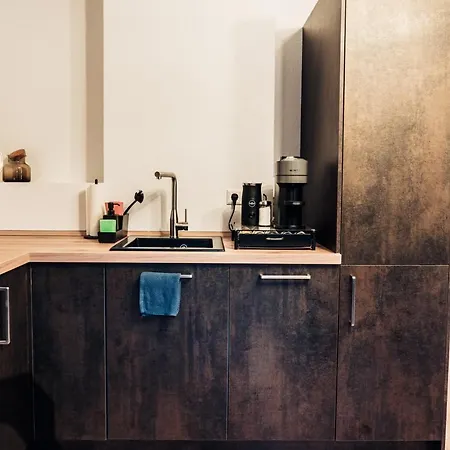 公寓 Familien- & Gruppenapartment Fuer 10 Personen Mit Direktem Parkzugang Und Terasse