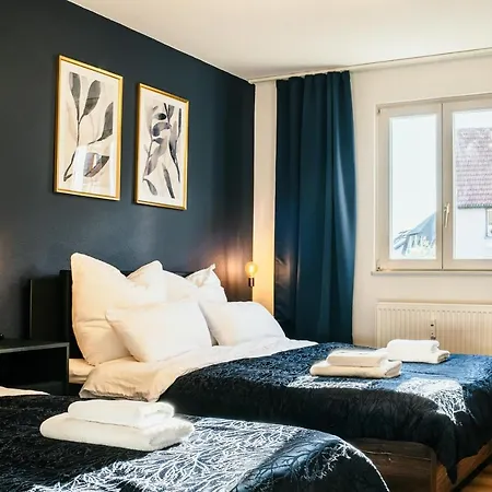 Familien- & Gruppenapartment Fuer 10 Personen Mit Direktem Parkzugang Und Terasse 公寓 巴登-巴登